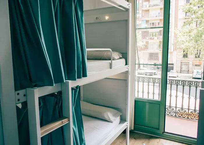 Black Swan Hostel